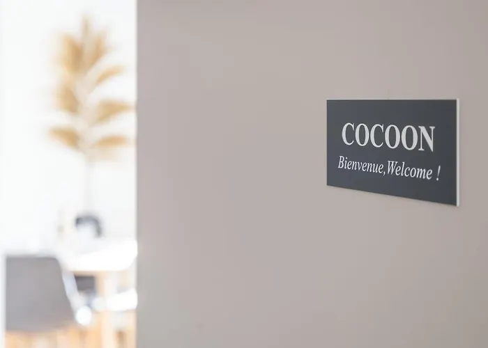 Cocoon Neuf - Climatise - Centre